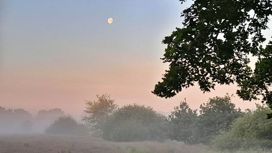 BINGO-Woche der Natur 13. Juni – 28. Juni 2026